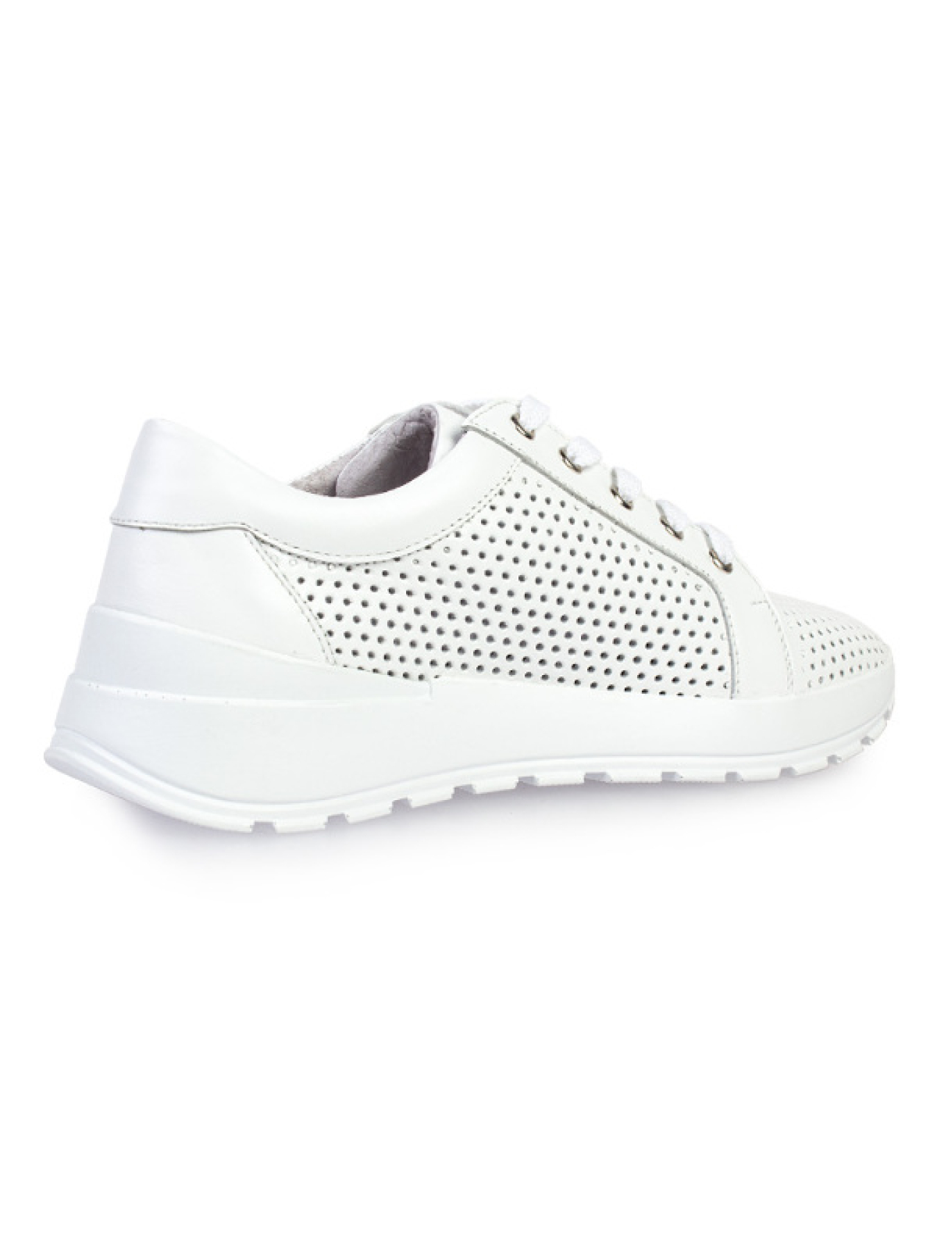 Кеди низькі ModaMilano модель 8301560_(1) Фото