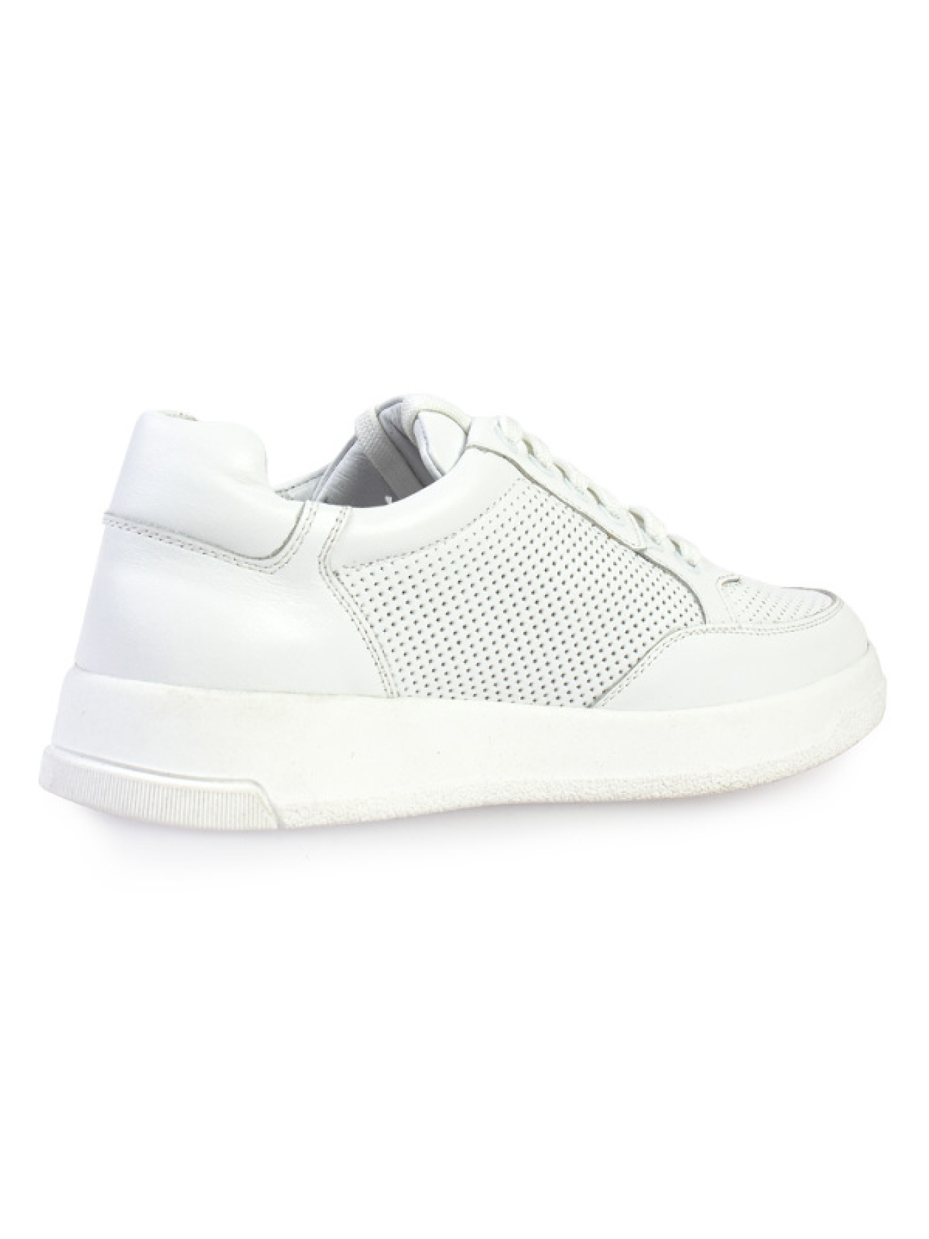 Кеды низкие ModaMilano модель 8200370_(1) Фото