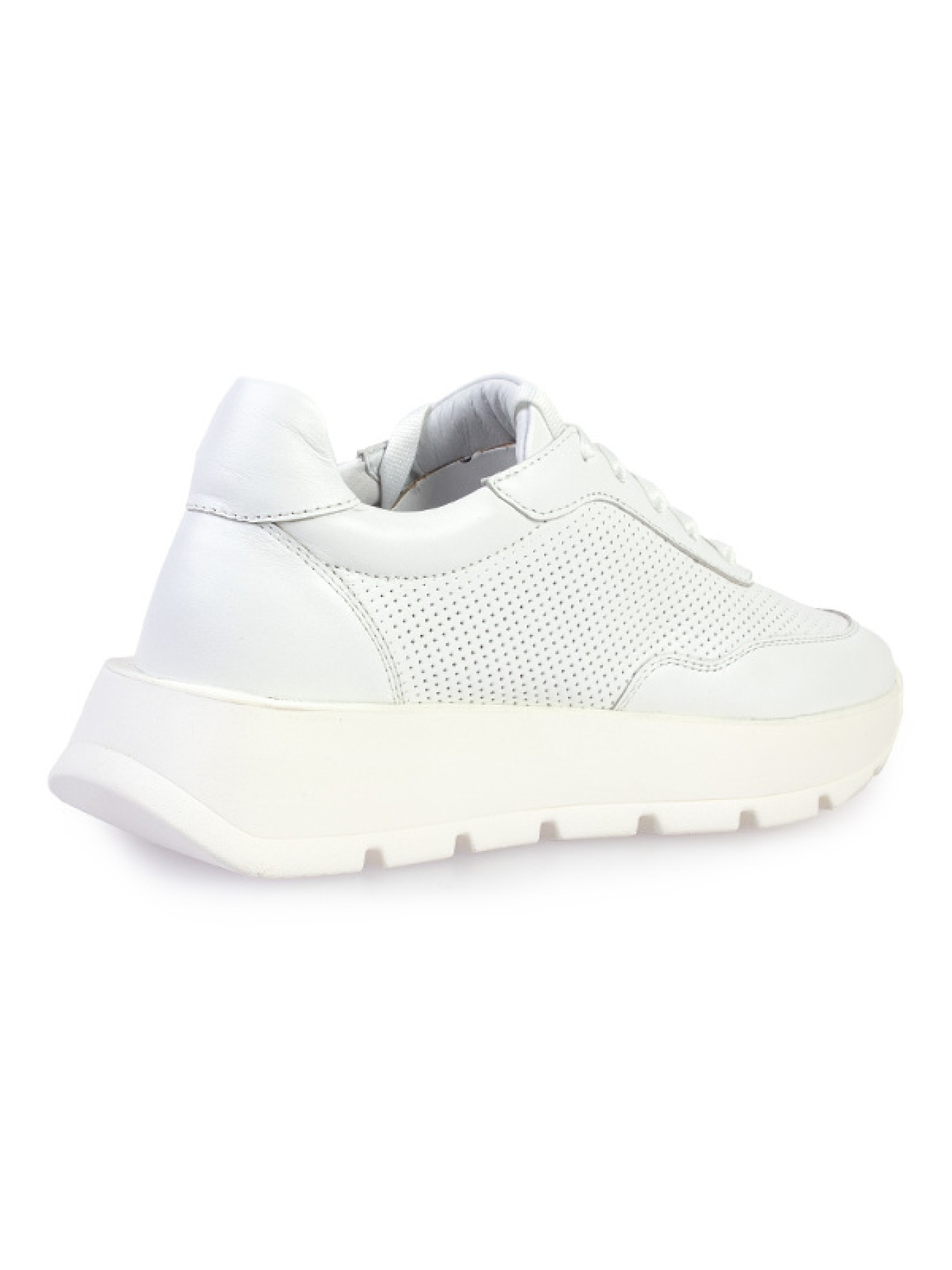 Кроссовки ModaMilano модель 8200372_(1) Фото