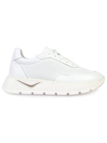 Кросівки повсякденні ModaMilano модель 8200372_(1) Фото