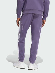 Штани спортивні Adidas модель JN2828 Фото