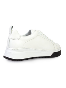 Кеди низькі ModaMilano модель 8200393_(1) Фото