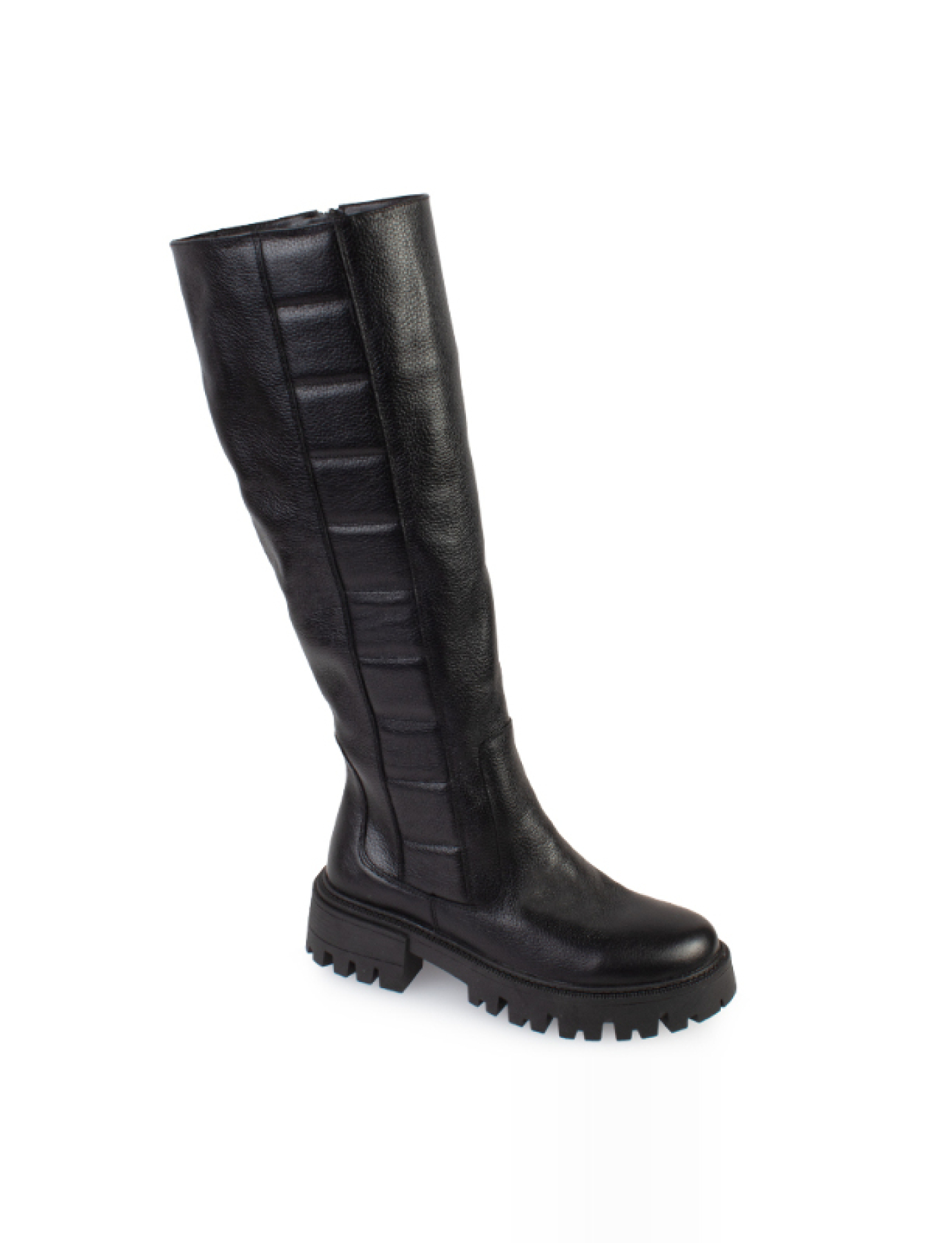 Сапоги ModaMilano модель 8101013_(1) Фото