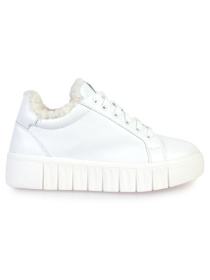 Кеды низкие ModaMilano модель 8501399_(1) Фото