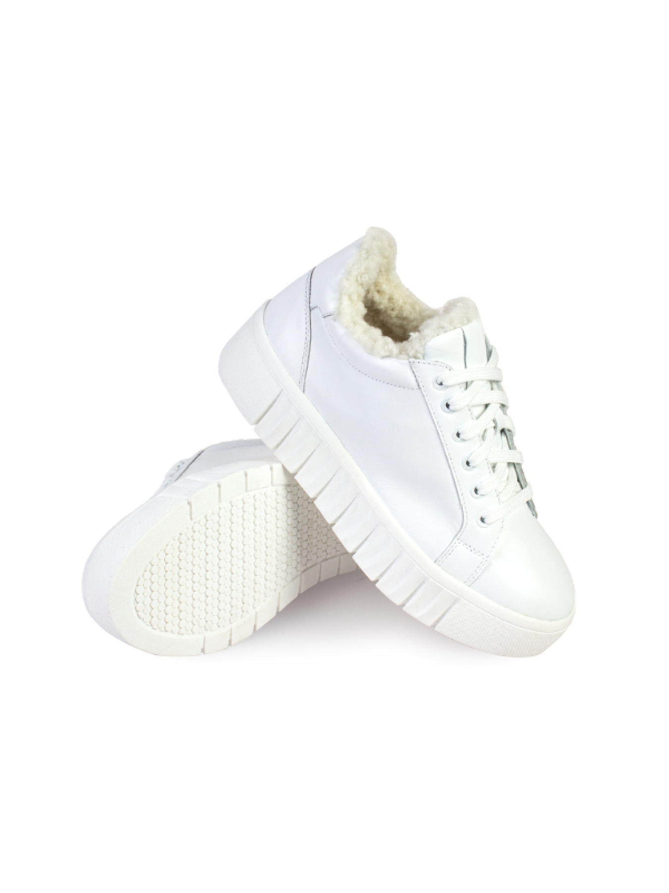 Кеди низькі ModaMilano модель 8501399_(1) Фото