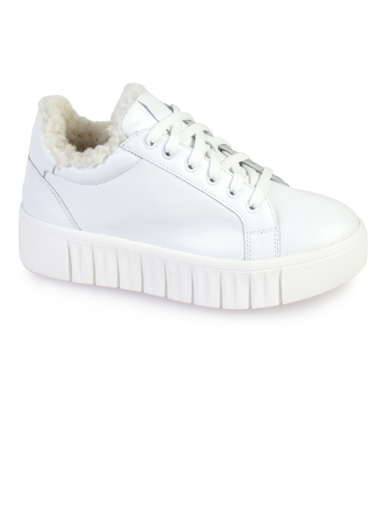 Кеди низькі ModaMilano модель 8501399_(1) Фото