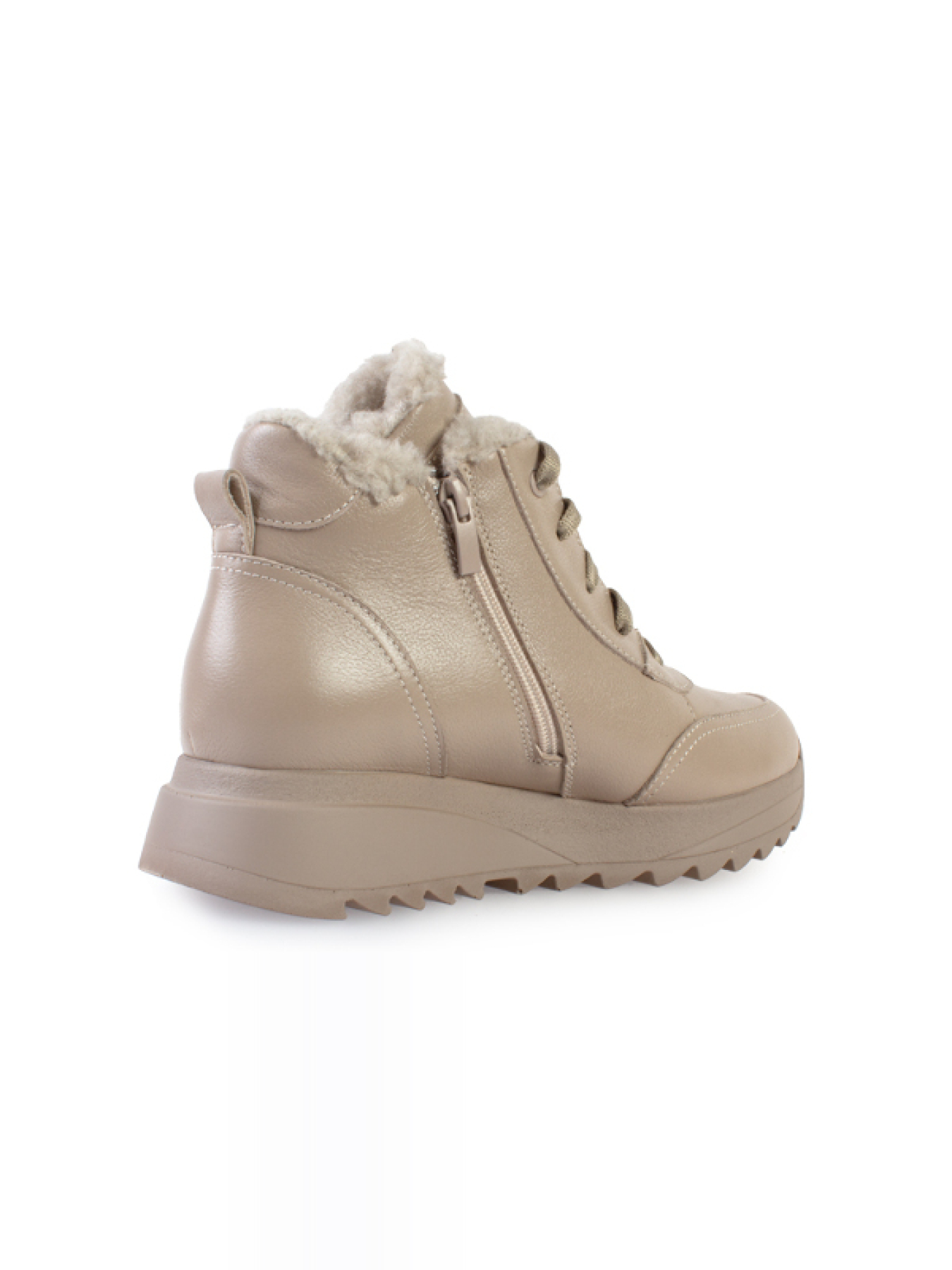 Ботинки ModaMilano модель 8501477_(2) Фото