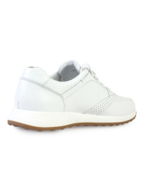 Кросівки повсякденні ModaMilano модель 9200447_(1) Кросівки повсякденні ModaMilano модель 9200447_(1) Фото