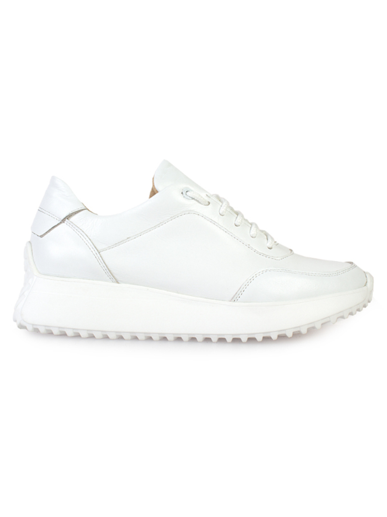 Кросівки ModaMilano модель 8200527_(2) Фото