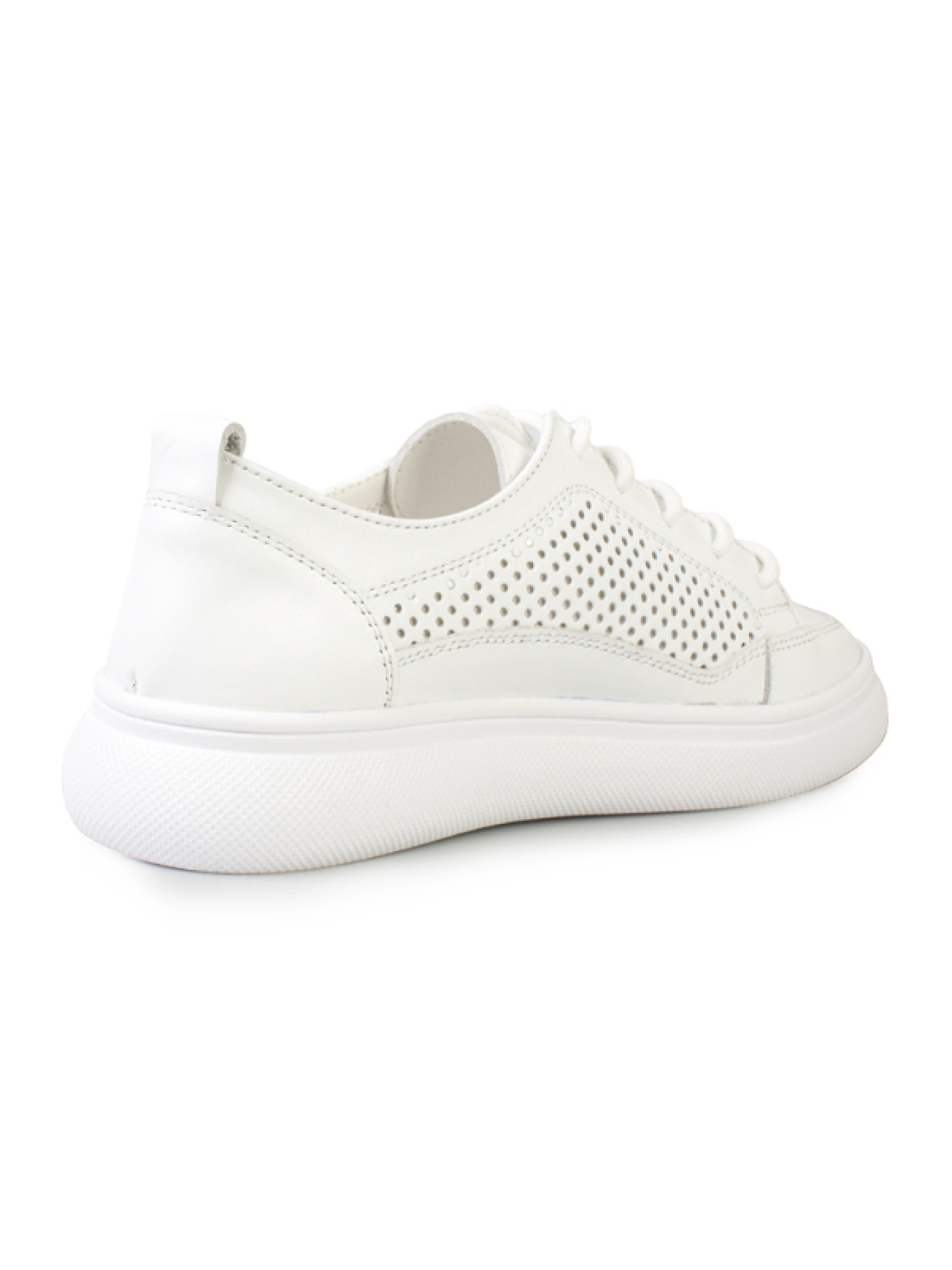 Кеды низкие ModaMilano модель 8200536_(1) Фото