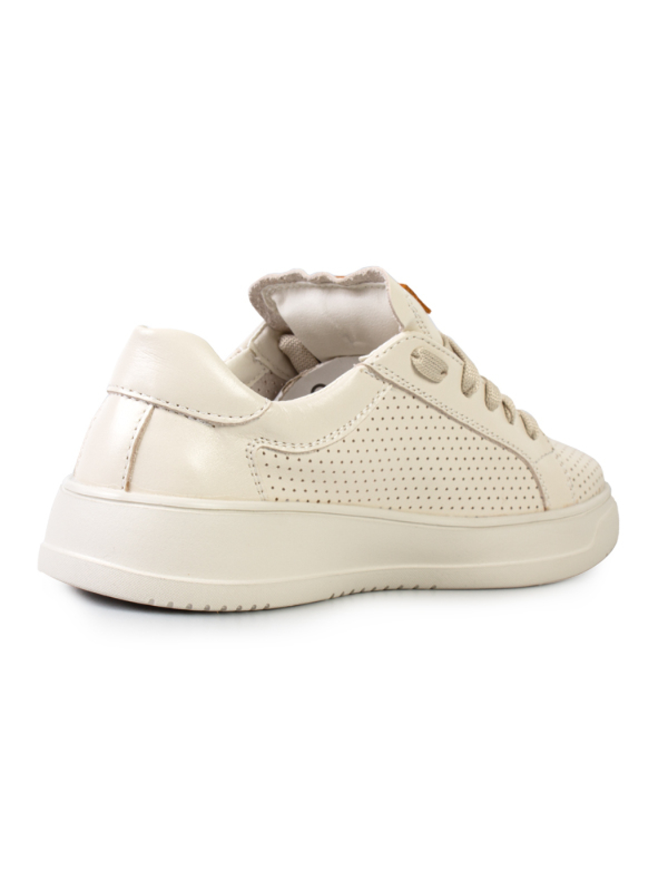 Кеди низькі ModaMilano модель 8200626_(2) Фото