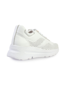 Кросівки ModaMilano модель 8301478_(1) Фото