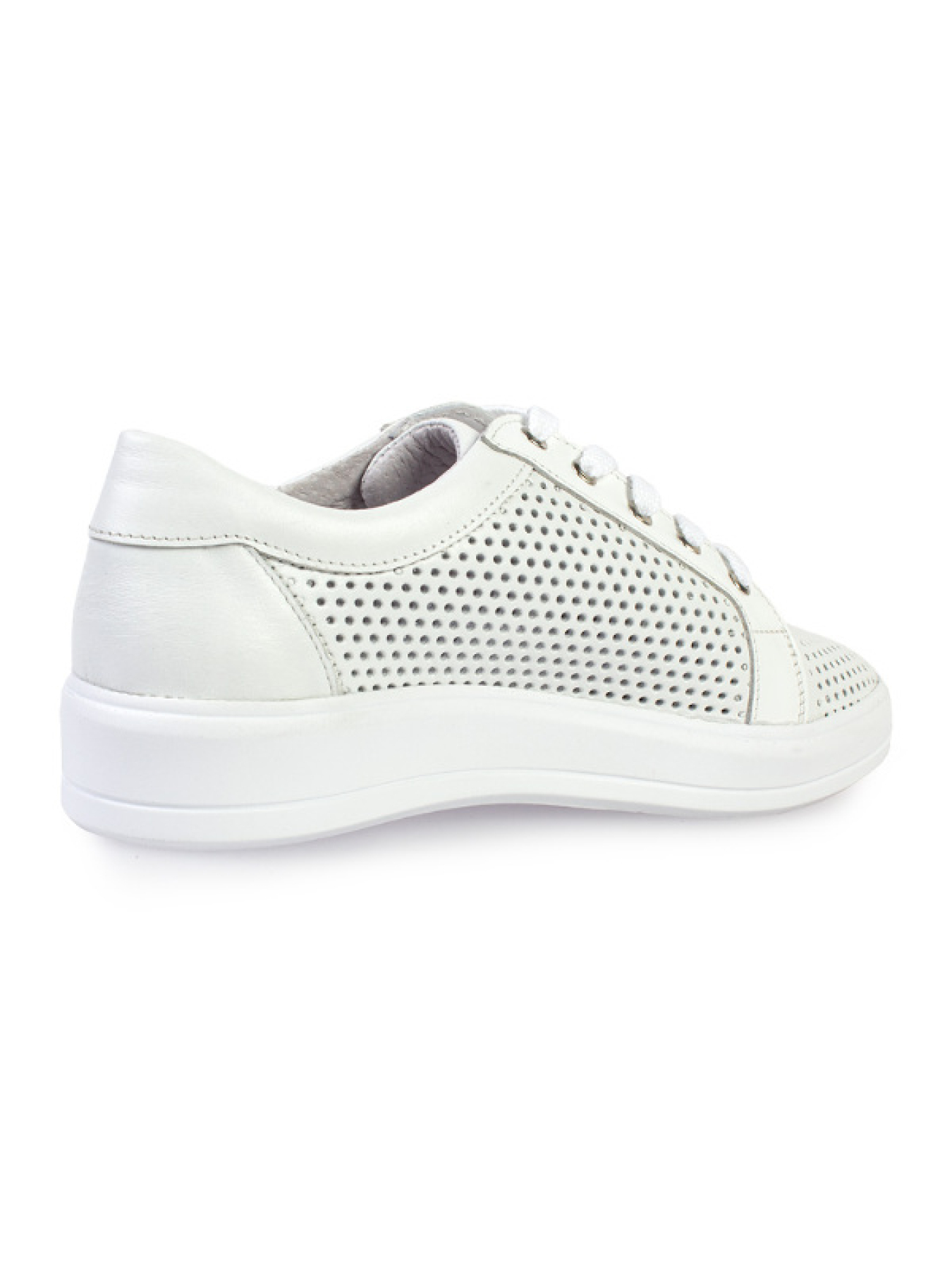 Кеди низькі ModaMilano модель 8301506_(4) Фото