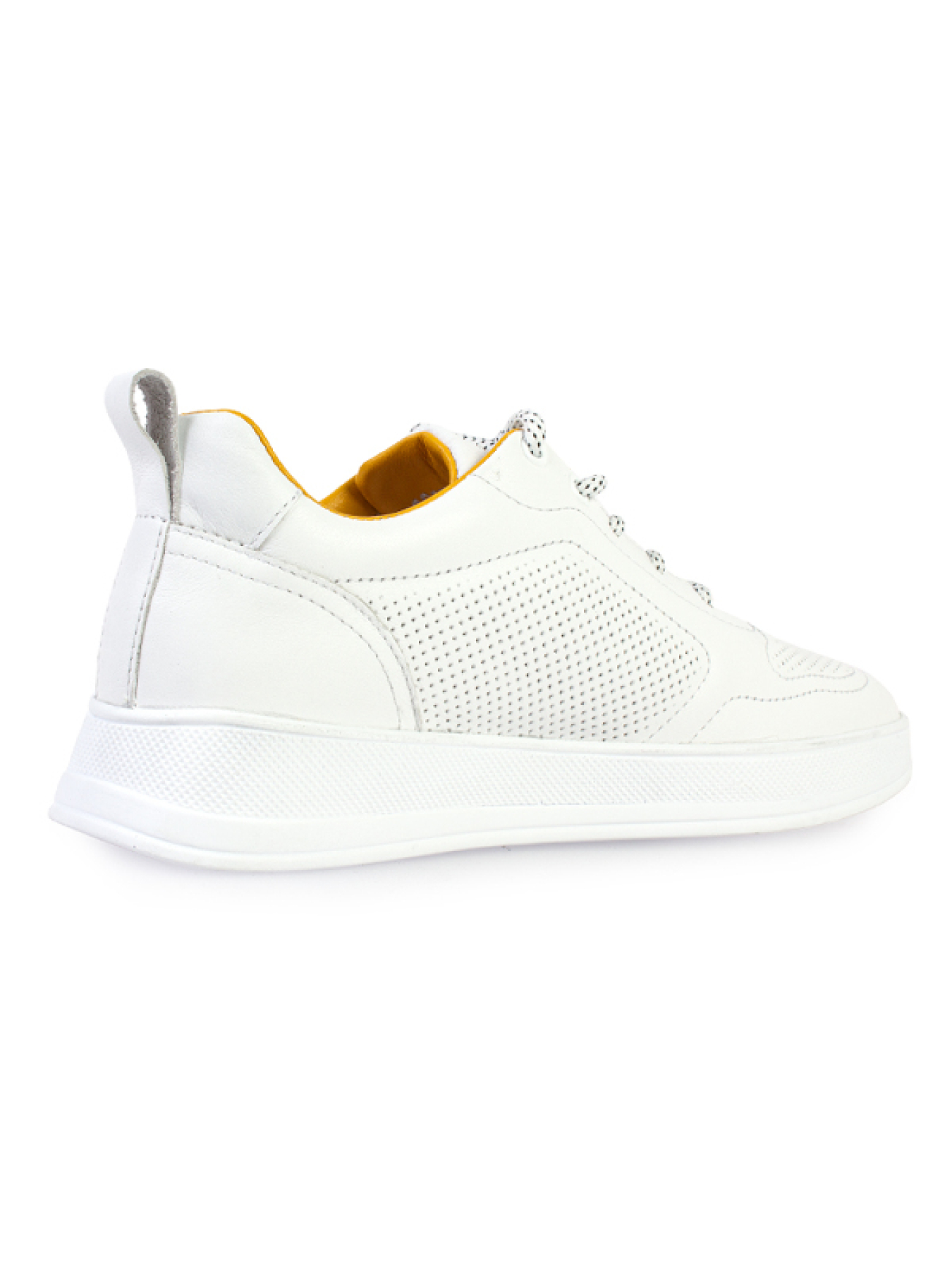 Кеди низькі ModaMilano модель 8301519_(1) Фото