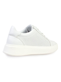 Кеди низькі ModaMilano модель 8301537_(1) Фото