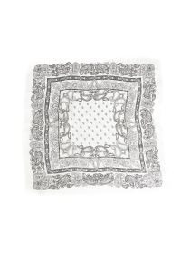 Хустка Famo модель APL-230_02 Фото