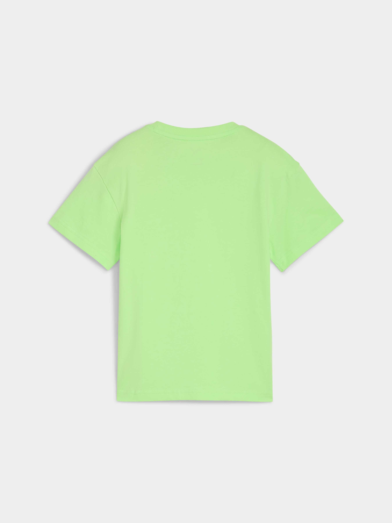 Футболка PUMA Woodland Tee модель 689874 Фото