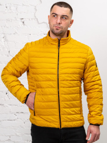 Демисезонная куртка AVALON модель 2009-V Фото