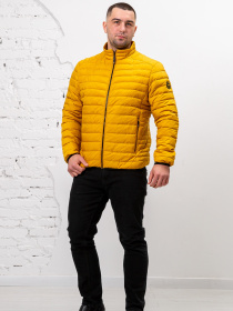 Демисезонная куртка AVALON модель 2009-V Фото