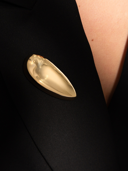 Брошки Famo модель B-560_01 Фото