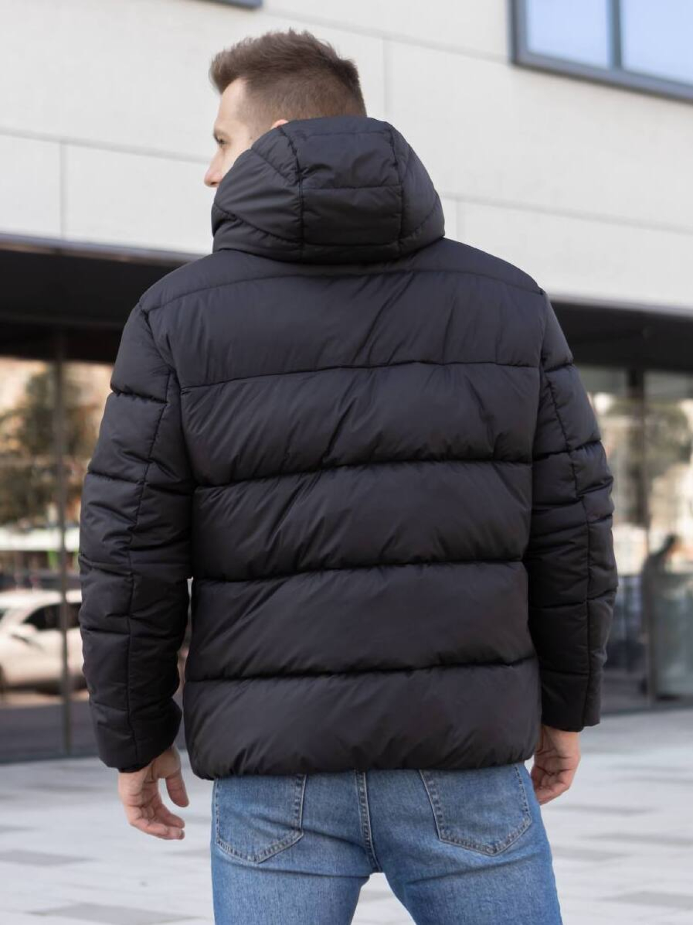 Чоловічий зимовий пуховик модель 223-V Фото