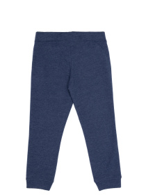 Штани спортивні US Polo модель G084SZ0OP.000.1485182.VR033 Фото