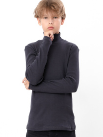 Водолазка Носи своє модель 6238-019-1-temnij-graft Фото