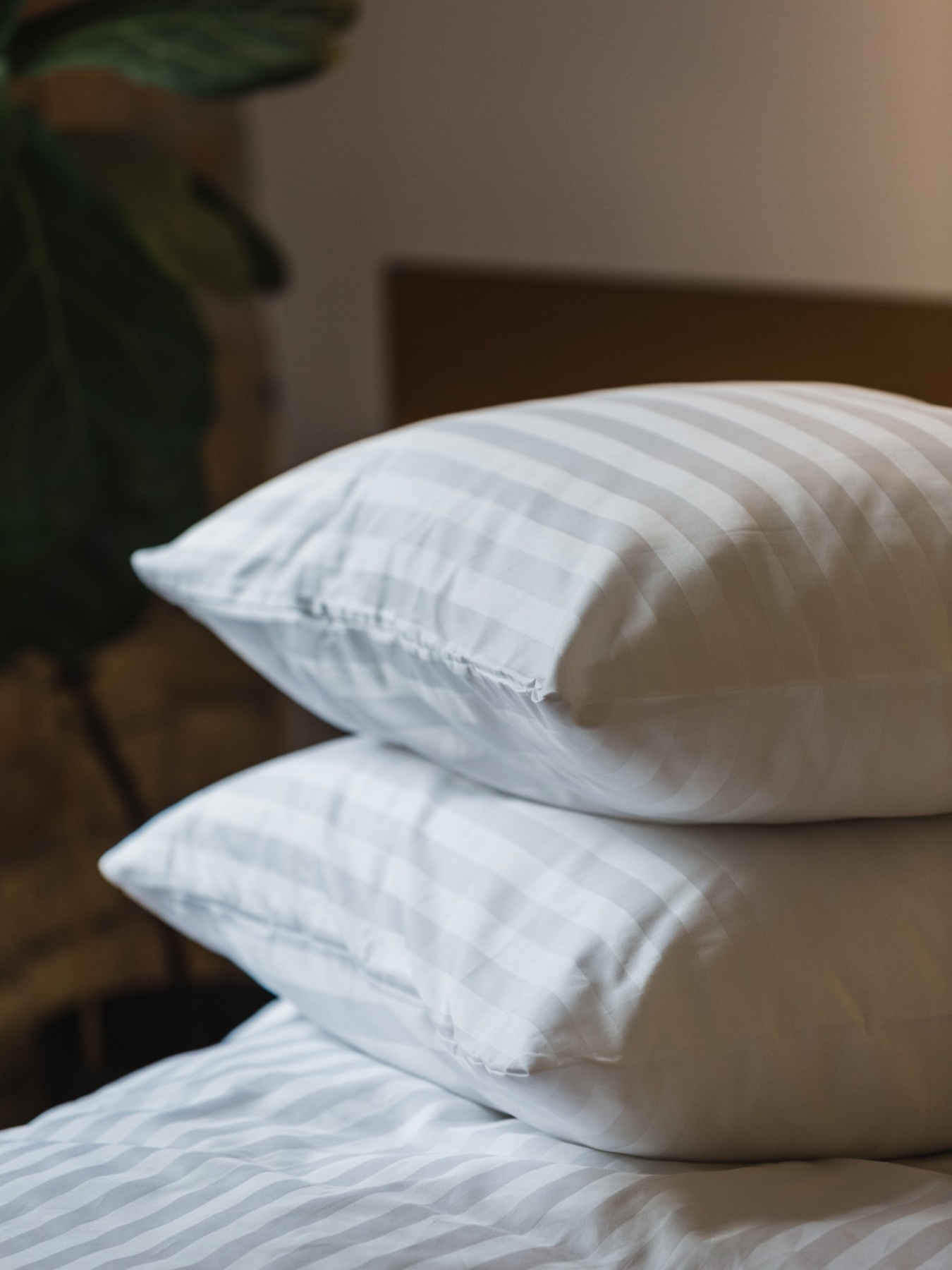 Комплект наволочек из страйп-сатина 2 шт. в полоску Ecotton модель 20923 Фото