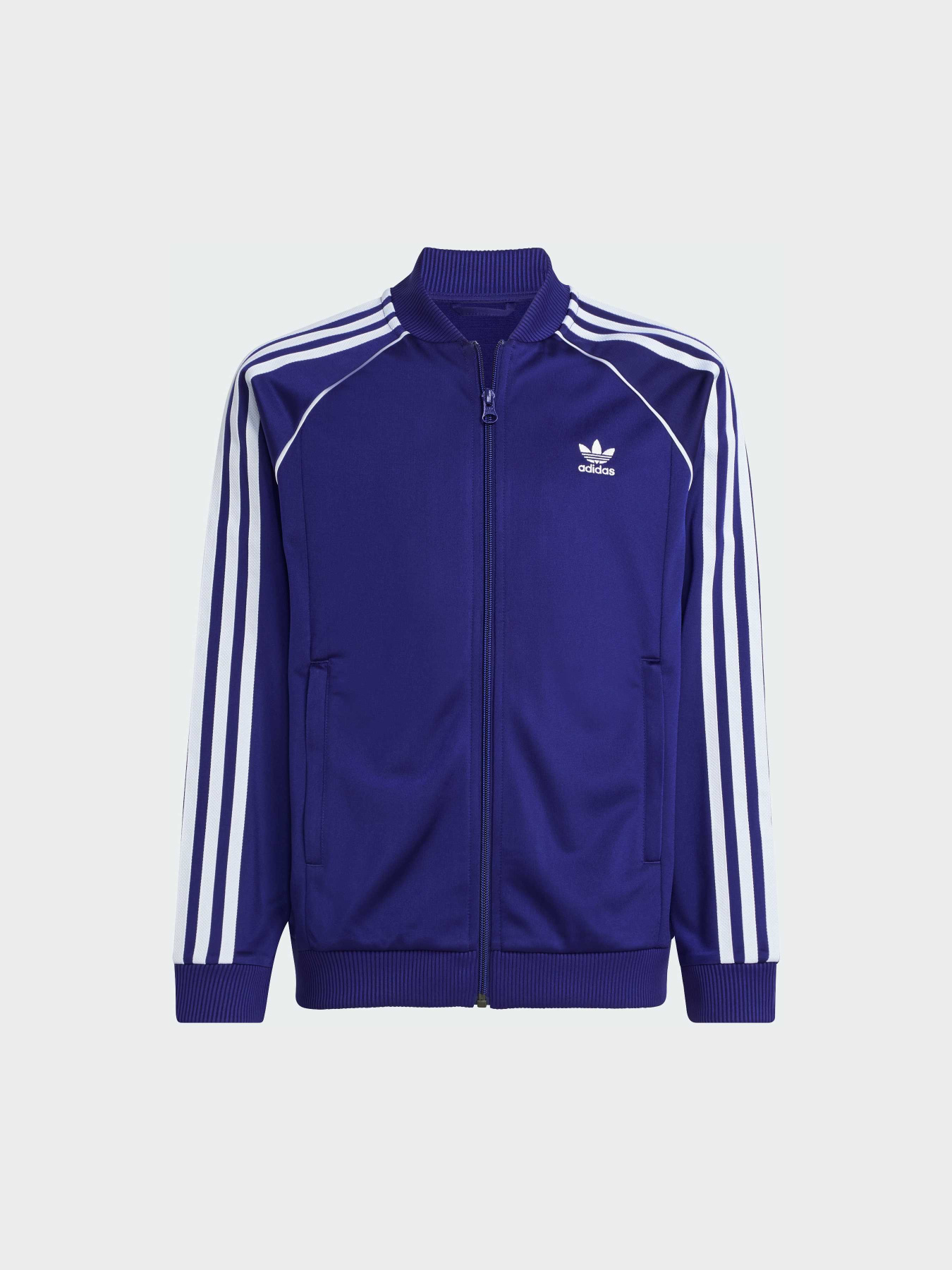 Кофта Adidas Adicolor модель IY7453 Кофта Adidas Adicolor модель IY7453 Фото