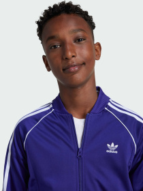 Кофта Adidas Adicolor модель IY7453 Кофта Adidas Adicolor модель IY7453 Фото