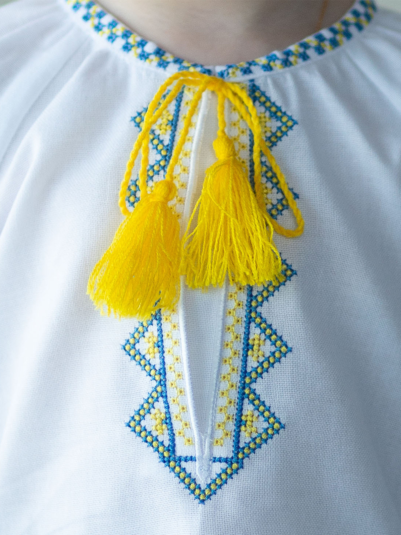 Вишита сорочка Едельвіка модель 388-24-09 Фото