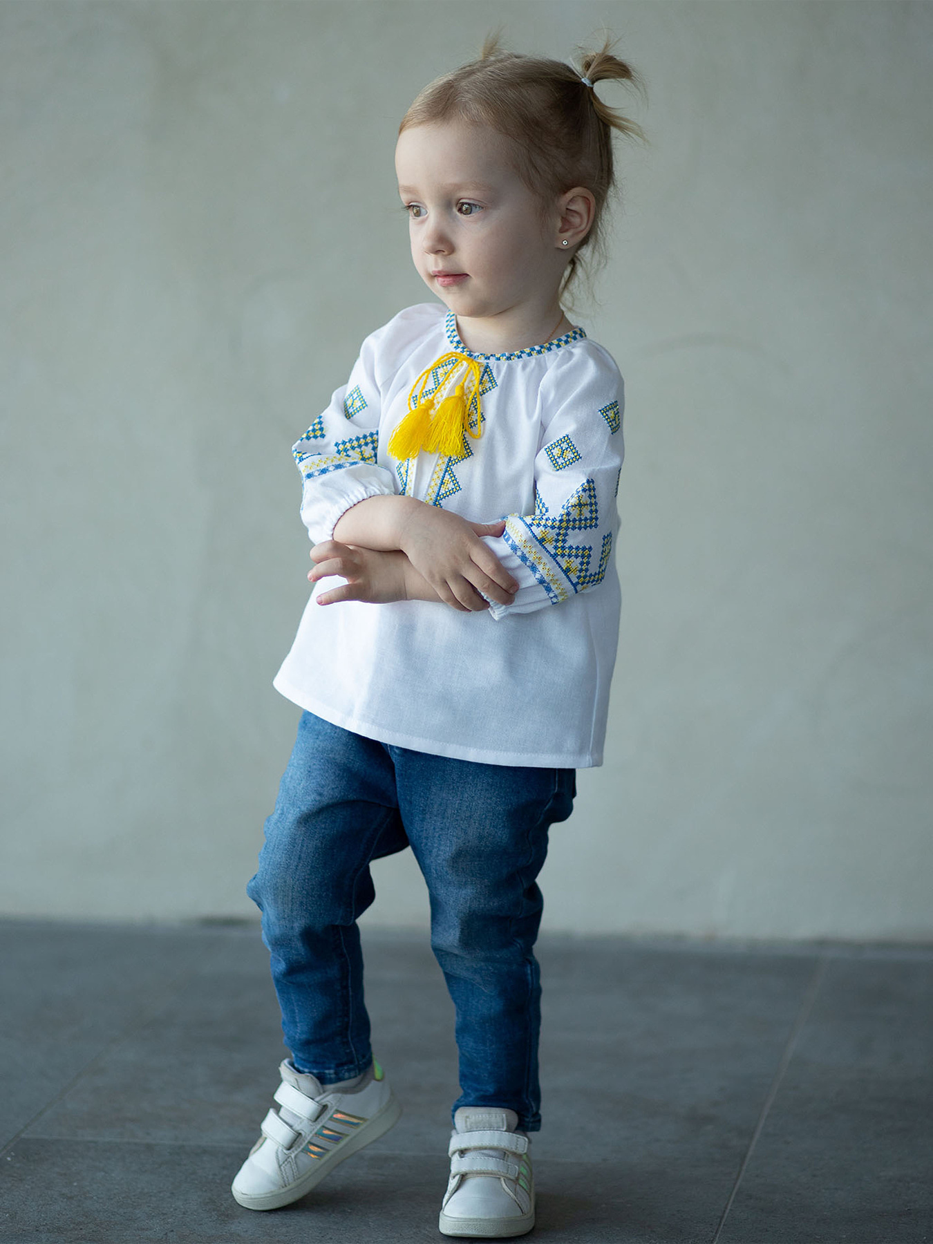 Вишита сорочка Едельвіка модель 388-24-09 Фото