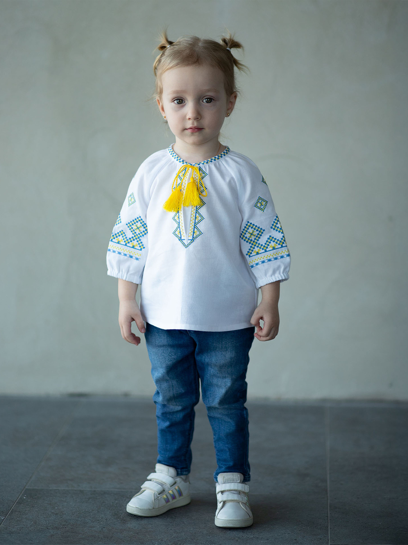 Вышитая рубашка Едельвіка модель 388-24-09 Фото