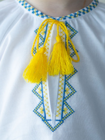 Вышитая рубашка Едельвіка модель 388-24-09 Вышитая рубашка Едельвіка модель 388-24-09 Фото