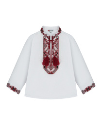 Вышитая рубашка Едельвіка модель 387-24-09 Фото