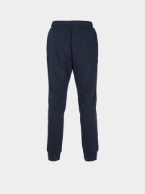 Штани спортивні Arena модель 004908-700 Фото