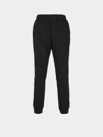 Штани спортивні Arena модель 004908-500 Фото