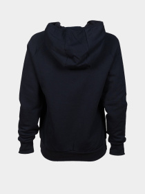 Худи Arena модель 004919-700 Фото