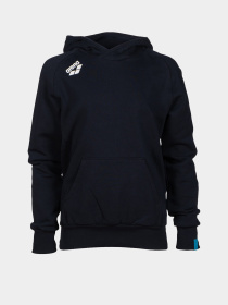 Худи Arena модель 004919-700 Фото