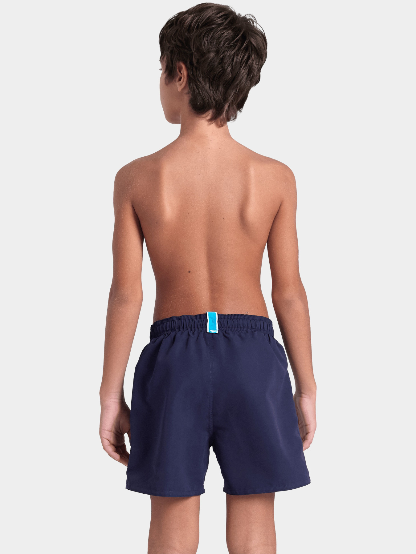 Шорты для плавания Arena модель 006447-782 Фото