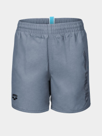 Шорти для плавання Arena модель 009258-550 Фото