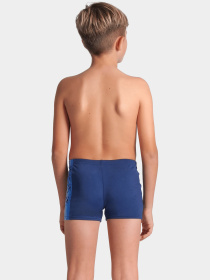 Плавки Arena модель 008099-770 Фото