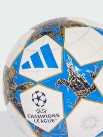 М'ячі Adidas модель JP1544 Фото