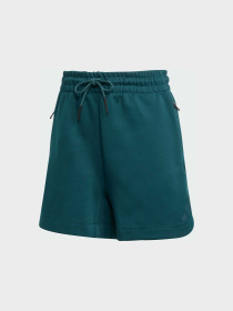 Шорты Adidas ZNE модель JW7760 Фото