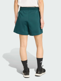 Повсякденні шорти Adidas ZNE модель JW7760 Фото