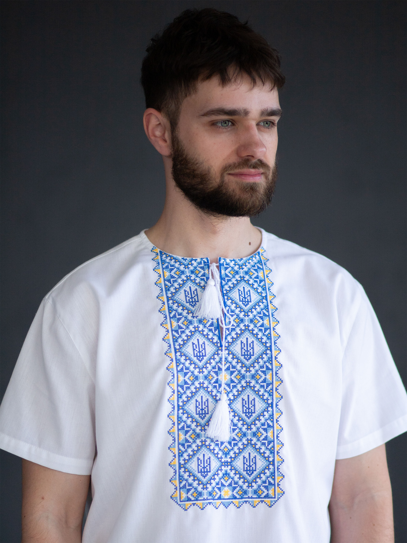 Вышитая рубашка Едельвіка модель 117-25-09 Фото