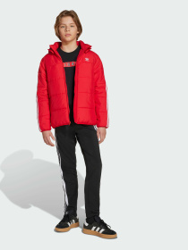 Вітровка Adidas Adicolor модель JW1108 Вітровка Adidas Adicolor модель JW1108 Фото