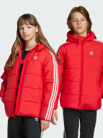 Куртки и дубленки Adidas Adicolor модель JW1108 Фото