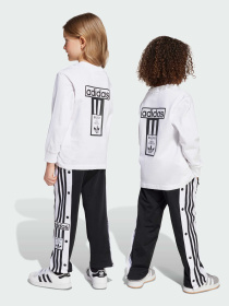 Спортивный костюм Adidas Adicolor модель JX1092 Фото