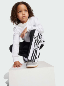 Спортивный костюм Adidas Adicolor модель JX1092 Фото